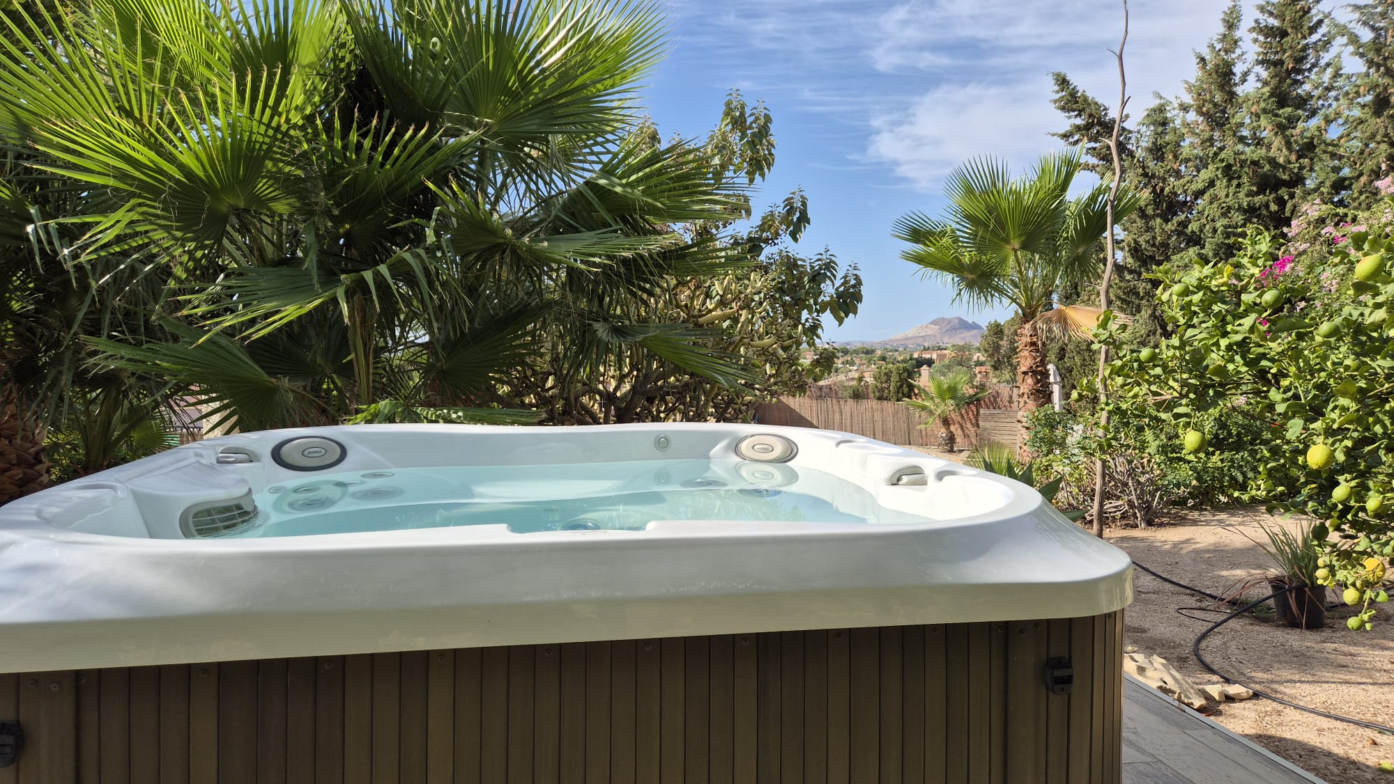 Jacuzzi tussen palmen en mediterrane beplanting