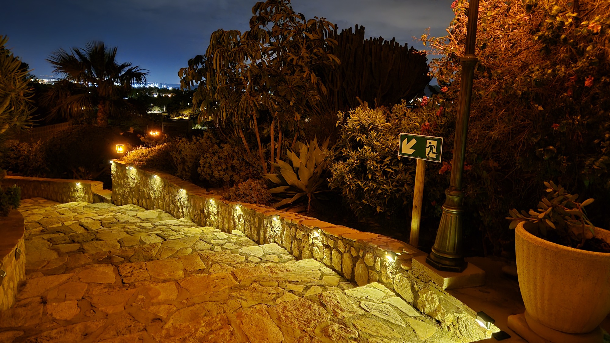 Verlicht stenen tuinpad tussen volwassen mediterrane beplanting in de avond